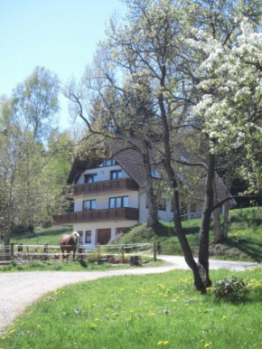 Ferienwohnung Ursprung
